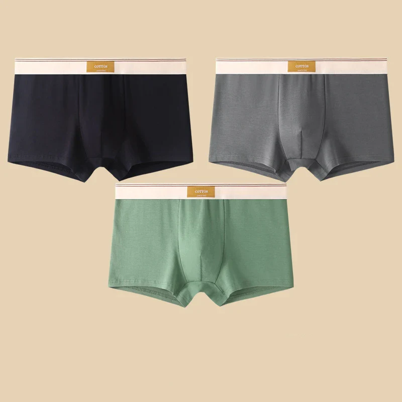 Cotton Theory Boxer Brief Set - Image 10