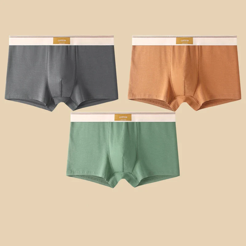 Cotton Theory Boxer Brief Set - Image 11