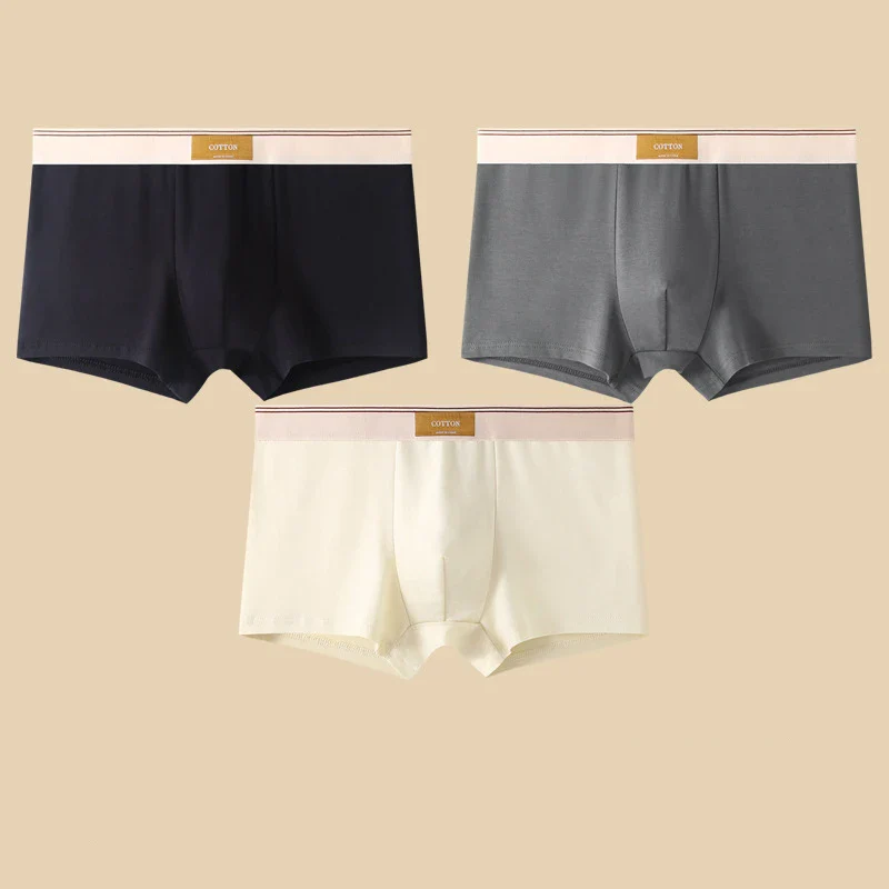 Cotton Theory Boxer Brief Set - Image 12