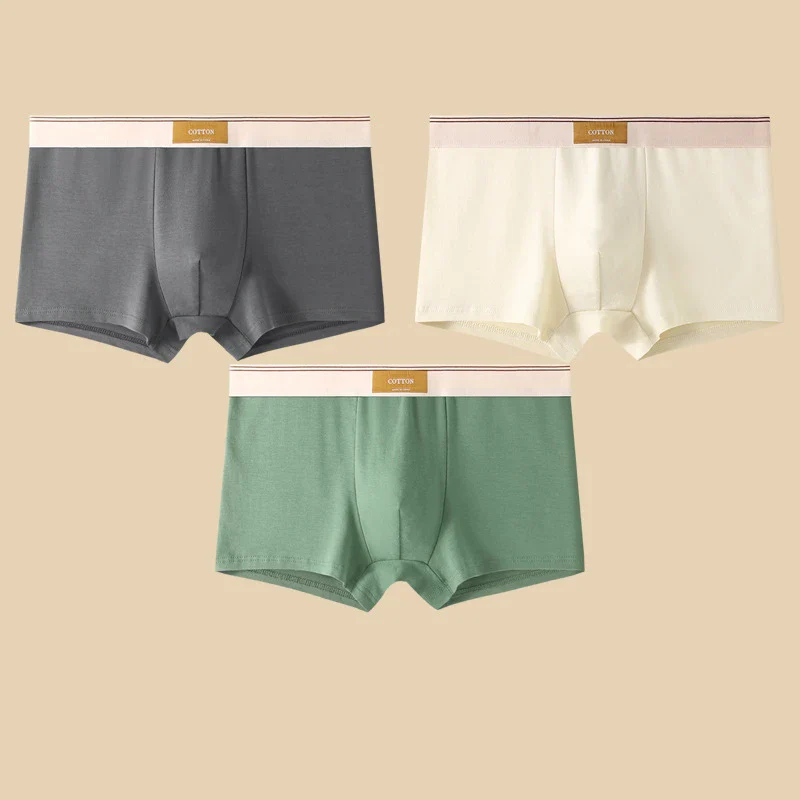 Cotton Theory Boxer Brief Set - Image 13