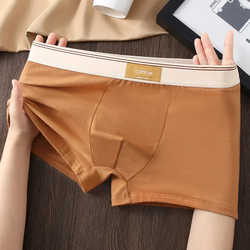 Cotton Theory Boxer Brief Set - Image 4