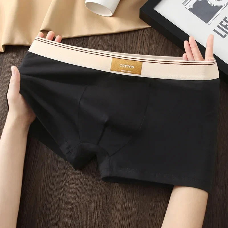 Cotton Theory Boxer Brief Set - Image 6
