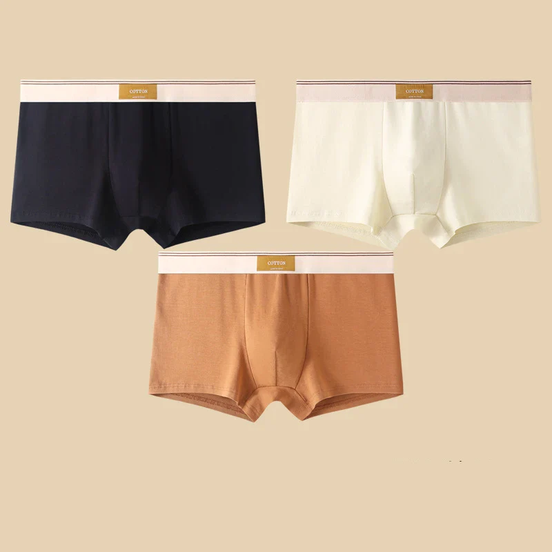 Cotton Theory Boxer Brief Set - Image 9